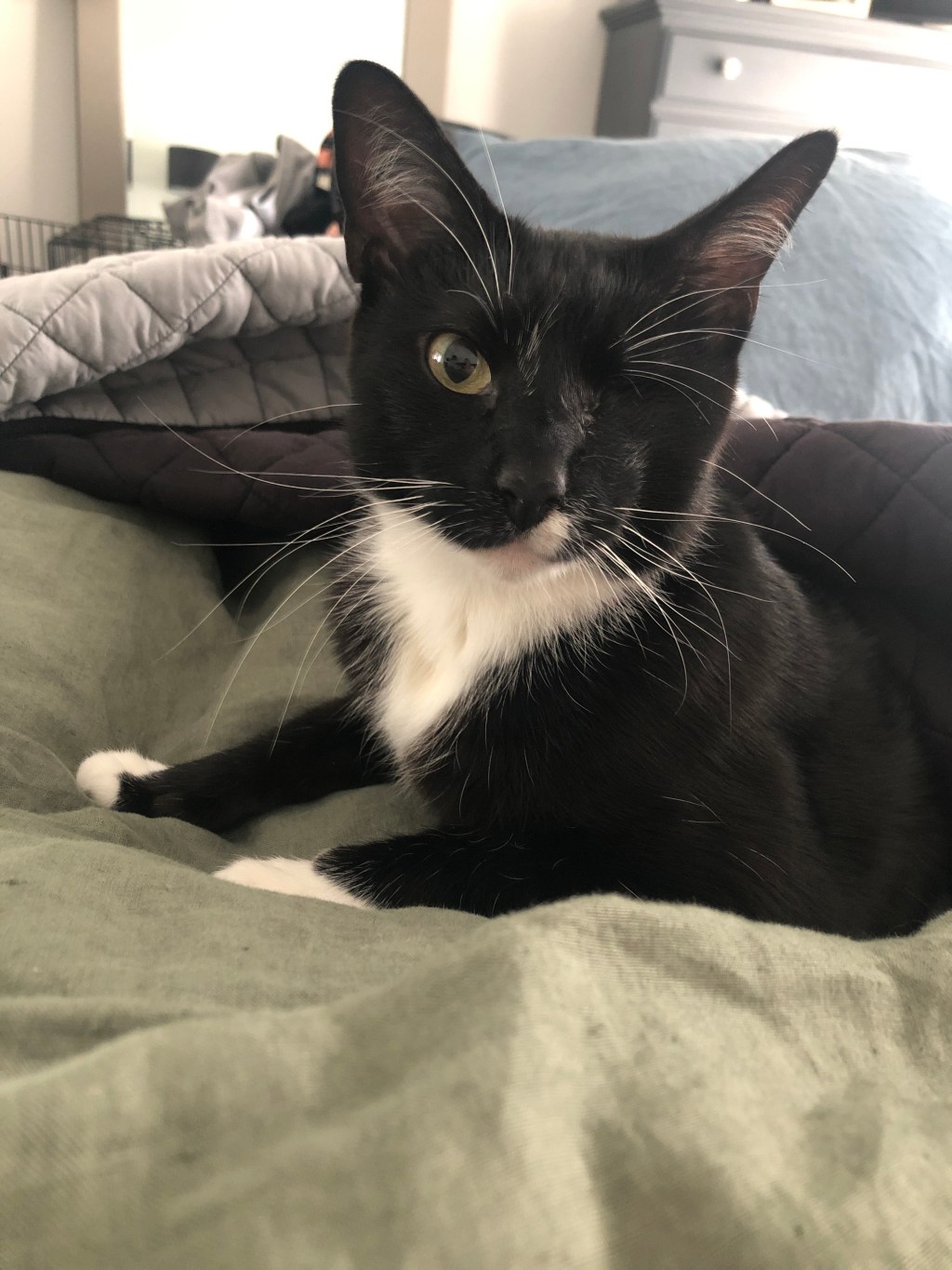 戦士のビスケット作りタイム