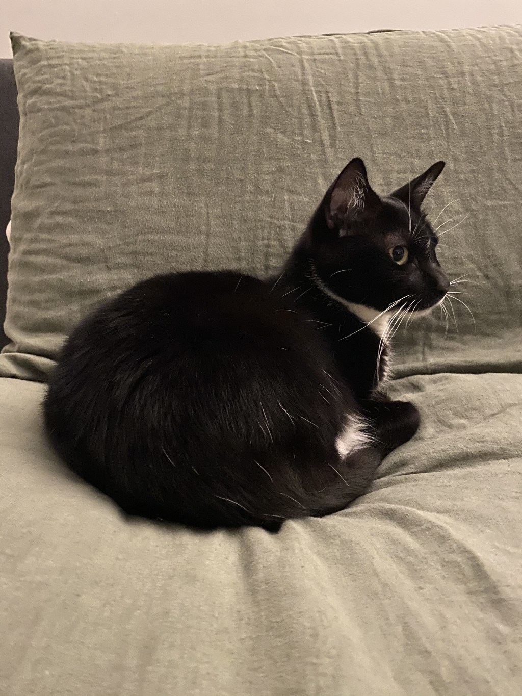 戦士の可愛い瞬間