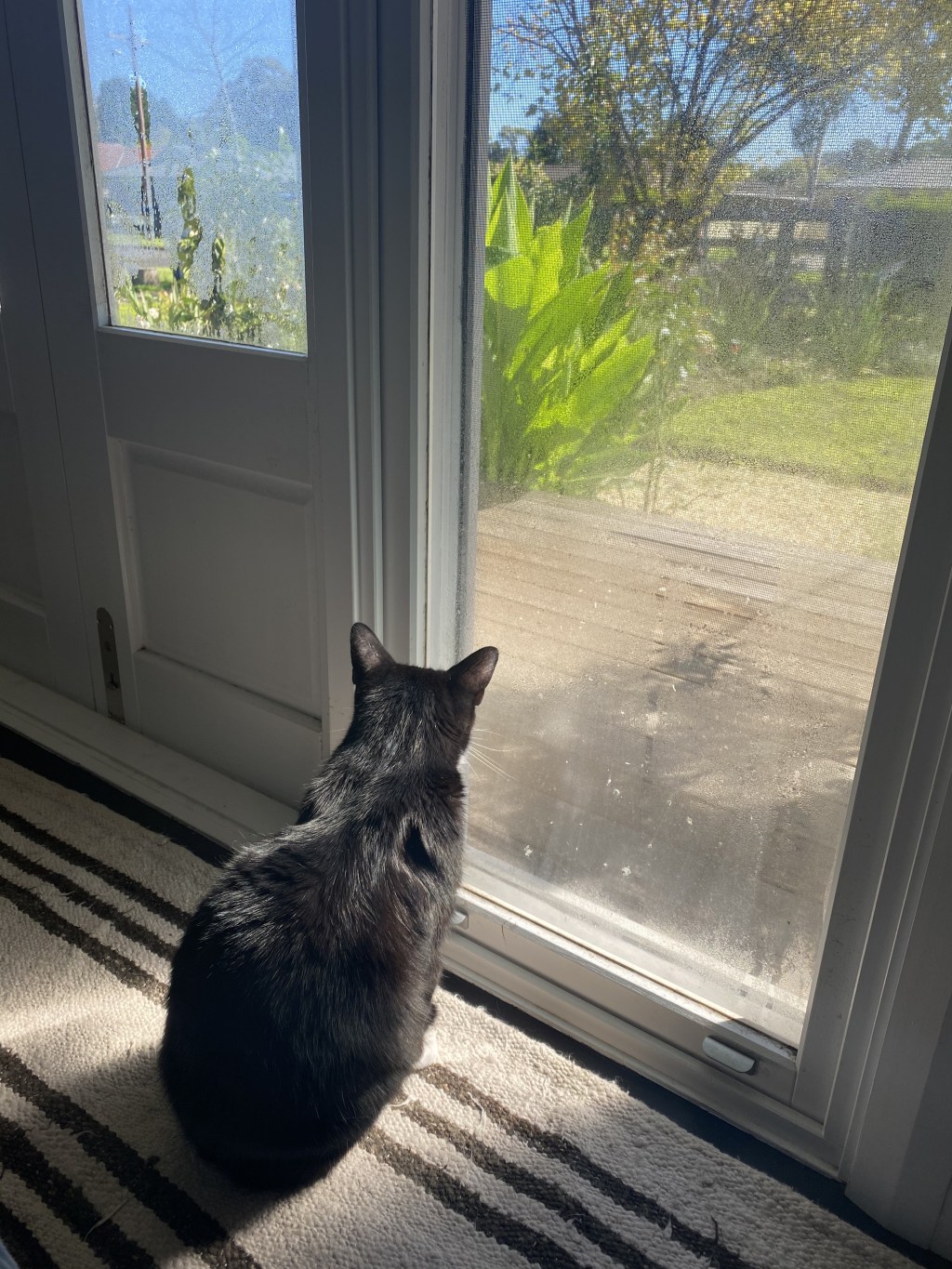 戦士の窓辺のひととき