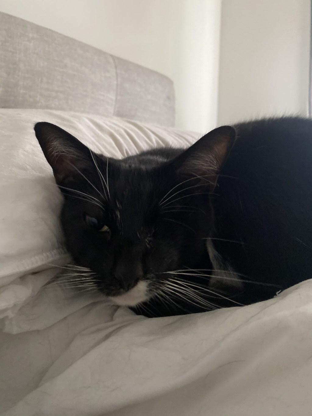 戦士のキュートな瞬間