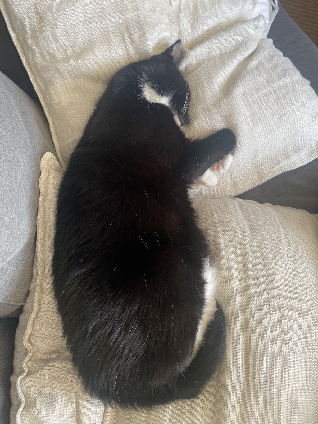 戦士の究極のリラックスタイム