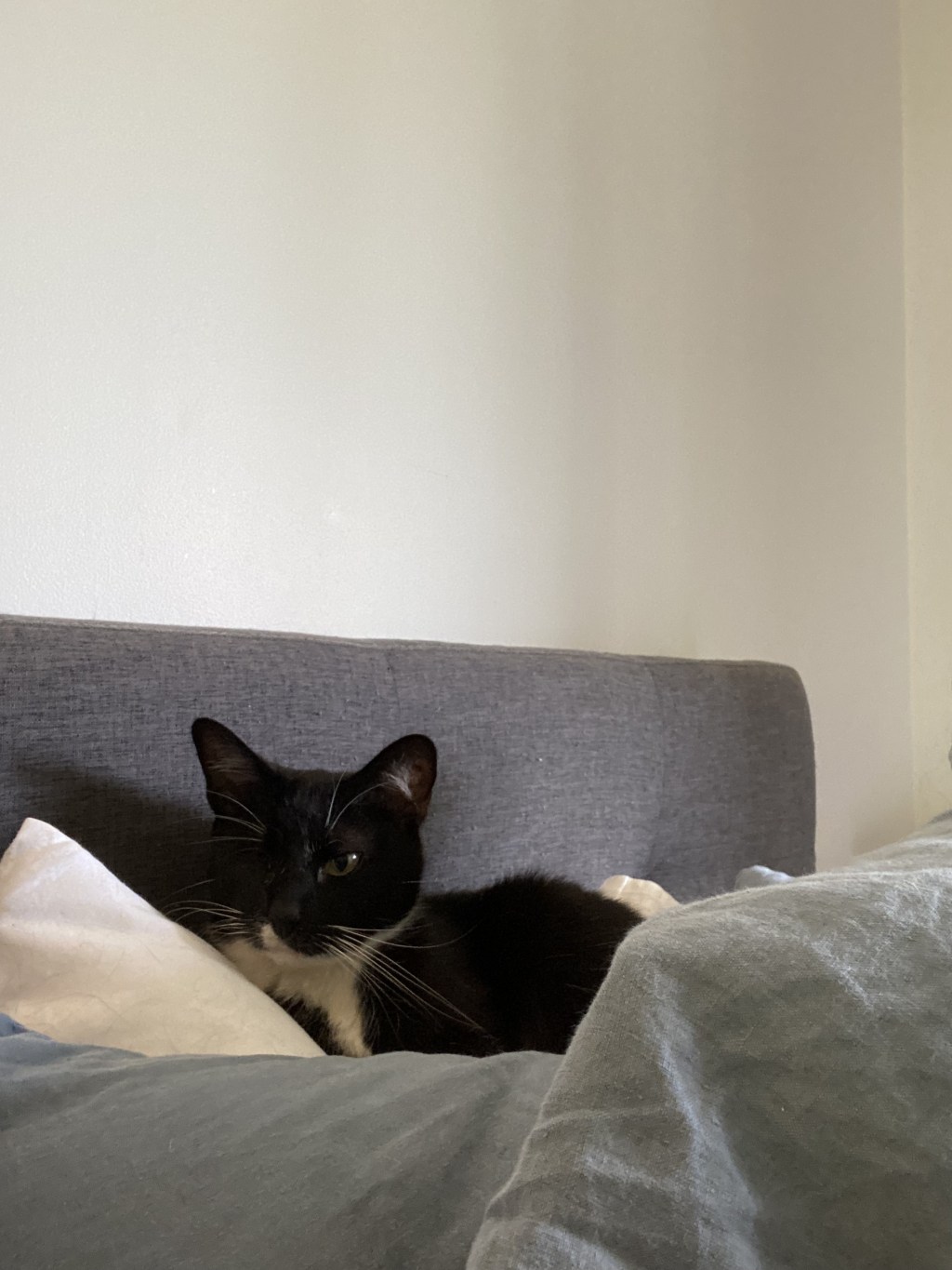 戦士の勇敢な一瞬