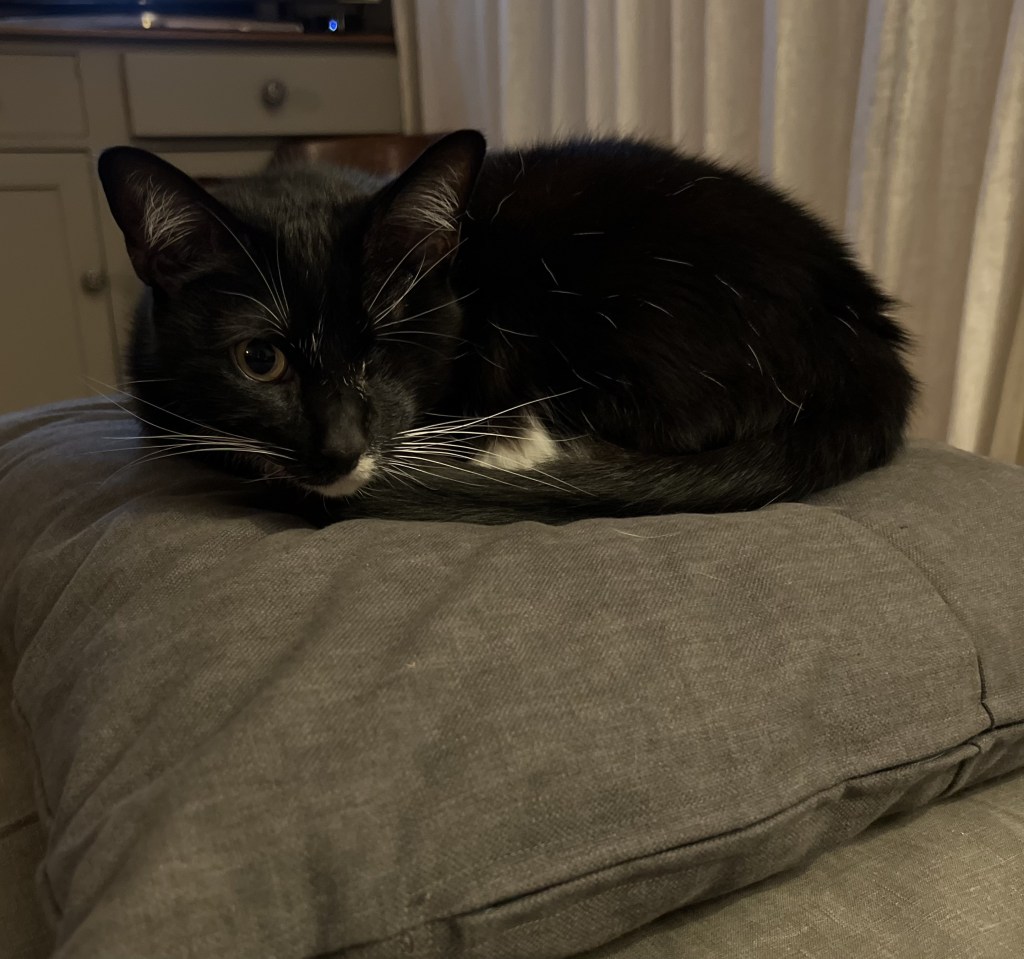 戦士の素敵なひととき