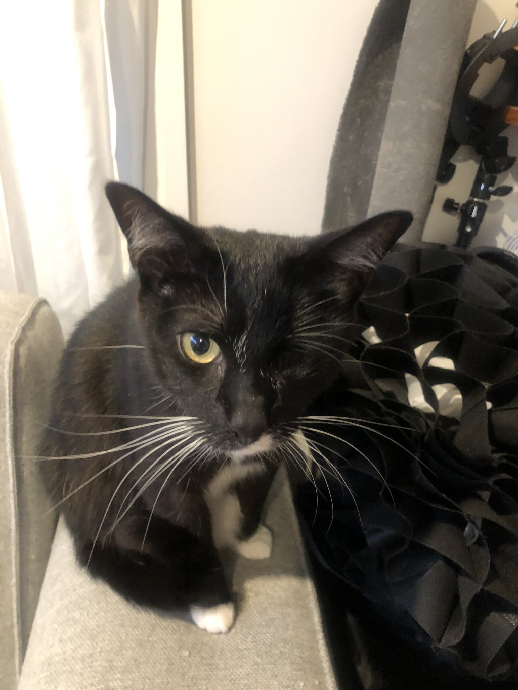 戦士の輝くまん丸お目目