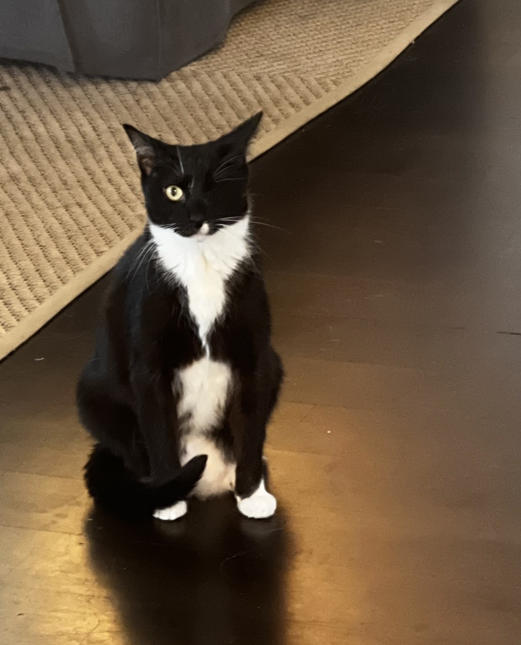 戦士のぽっちゃりハッピーデイ