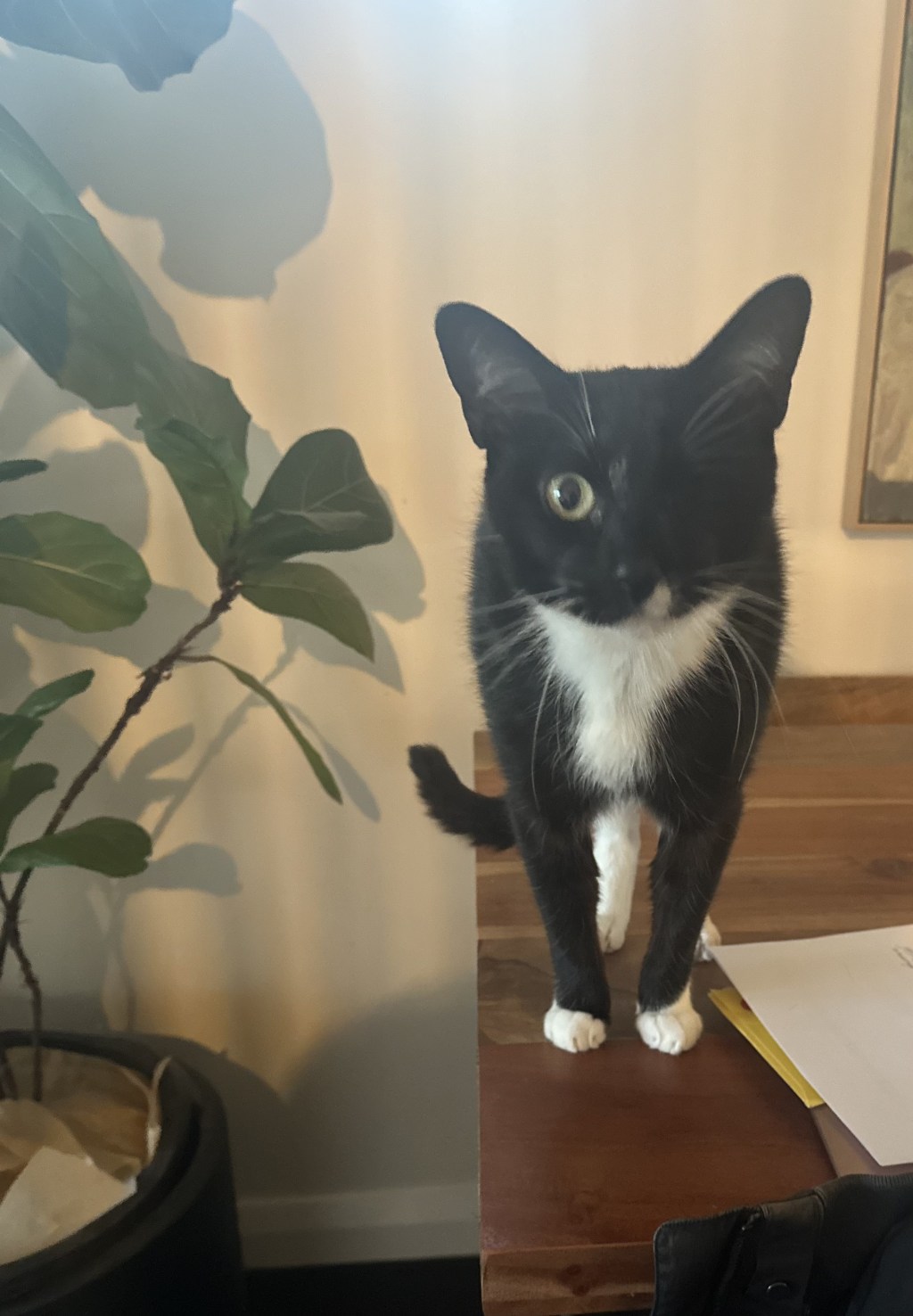 戦士の好奇心旺盛なひととき