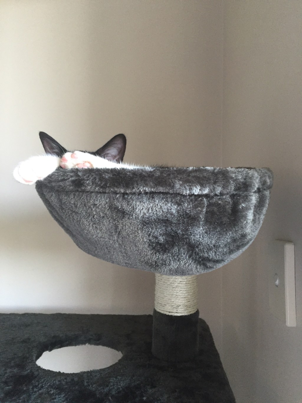 もう一つの面白い写真