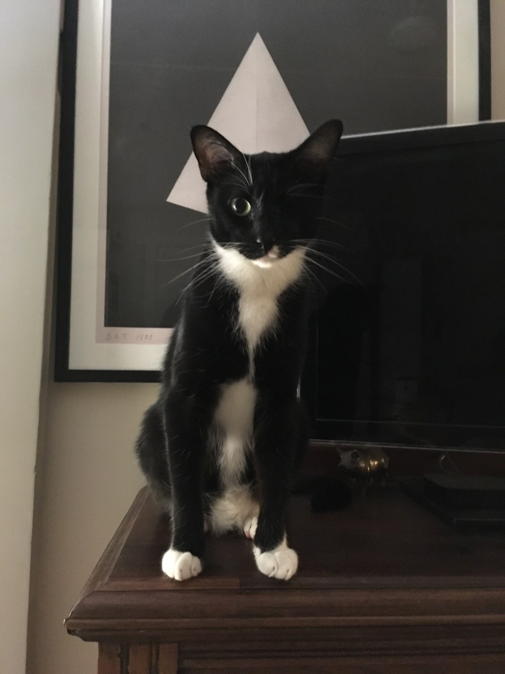 戦士の威厳あるひととき