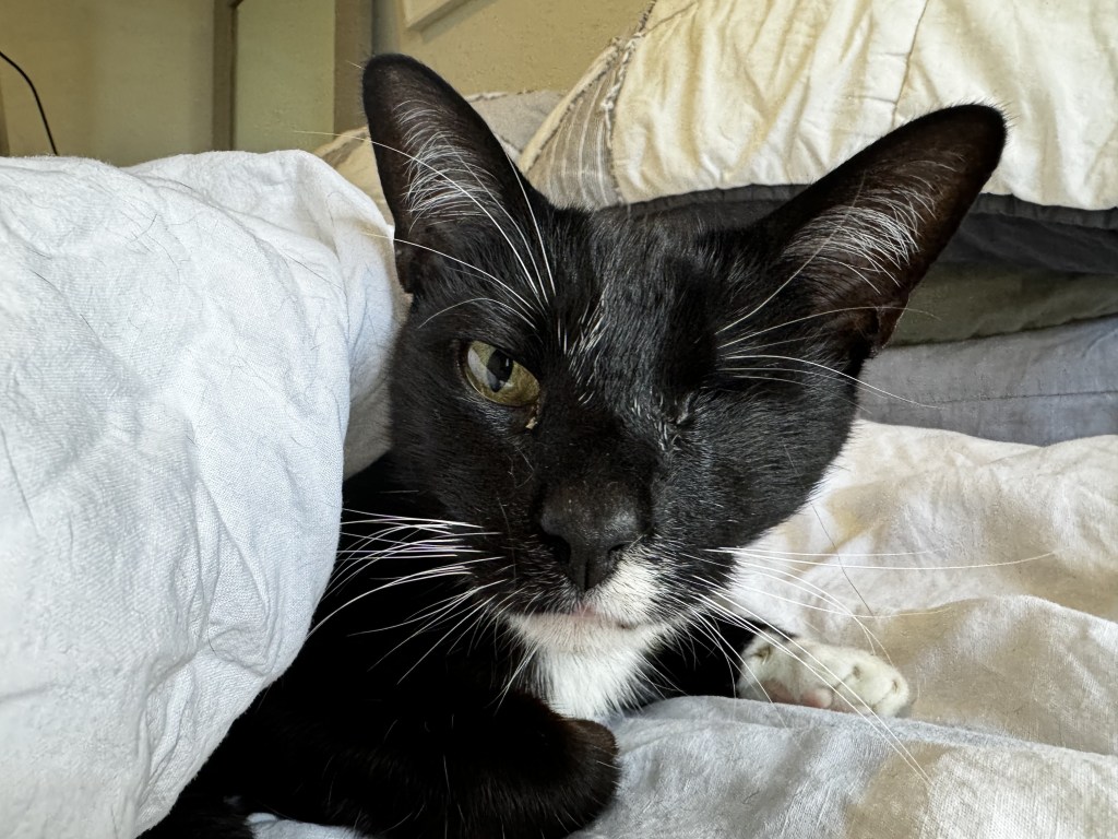 戦士のぬくぬくおやすみタイム