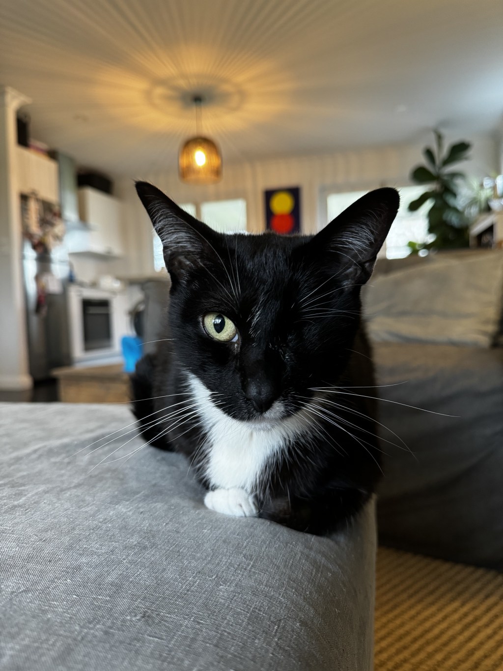 戦士の幸せいっぱいリラックスタイム