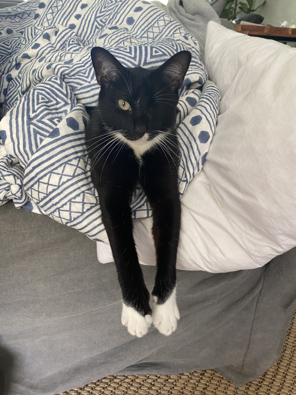 戦士のだらーんとリラックスタイム