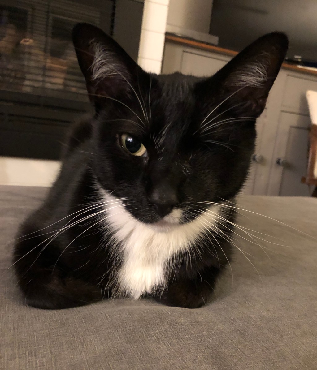 戦士の満足なおうち時間