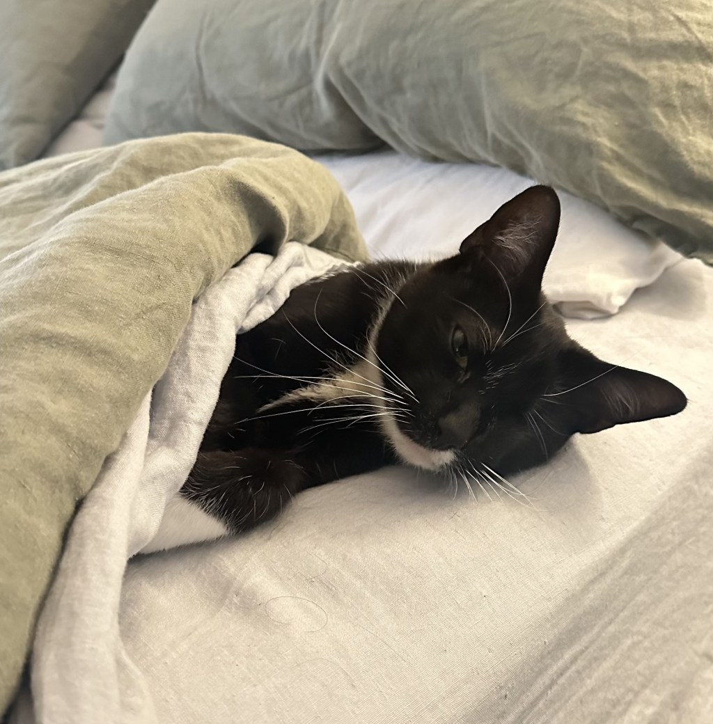 戦士のぐっすりお寝坊タイム