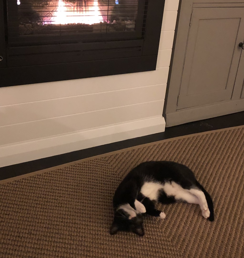 戦士のごろごろタイム：暖炉のそばで至福のひととき