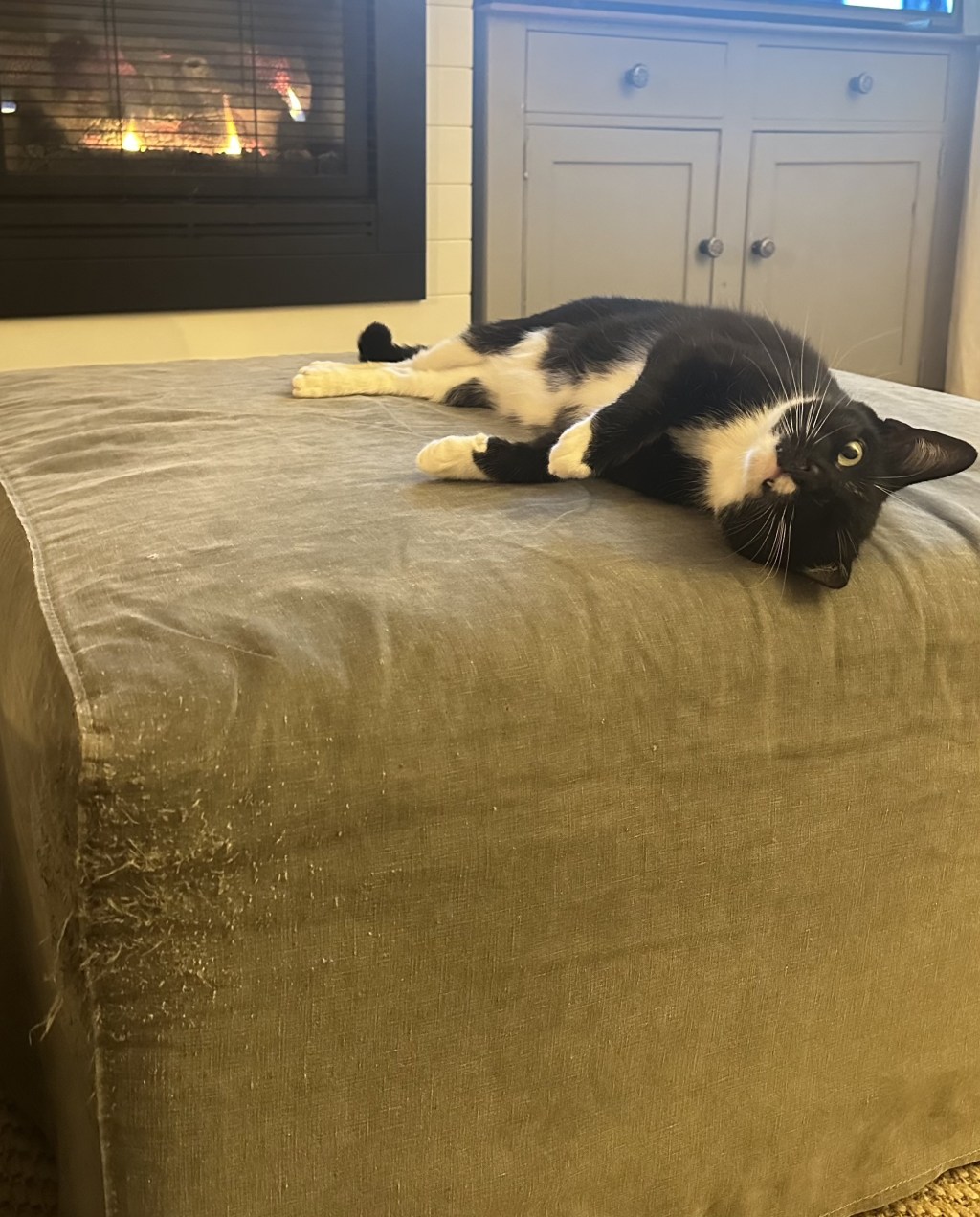 戦士のあったかお昼寝タイム