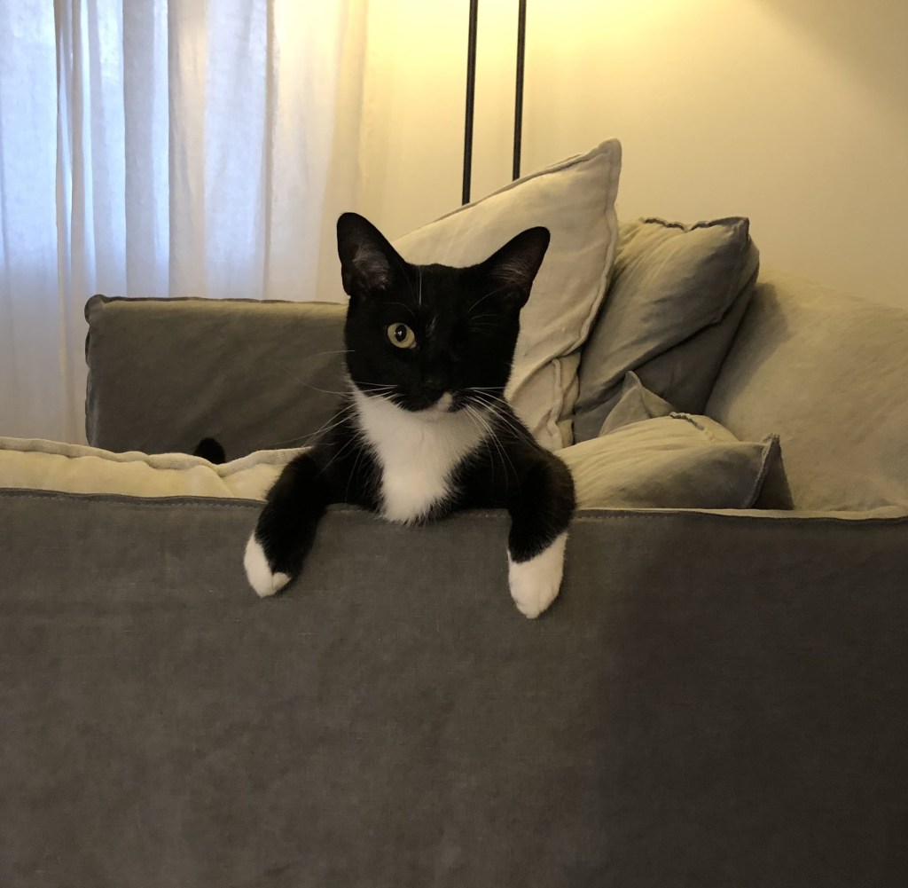 戦士のユニークなソファタイム