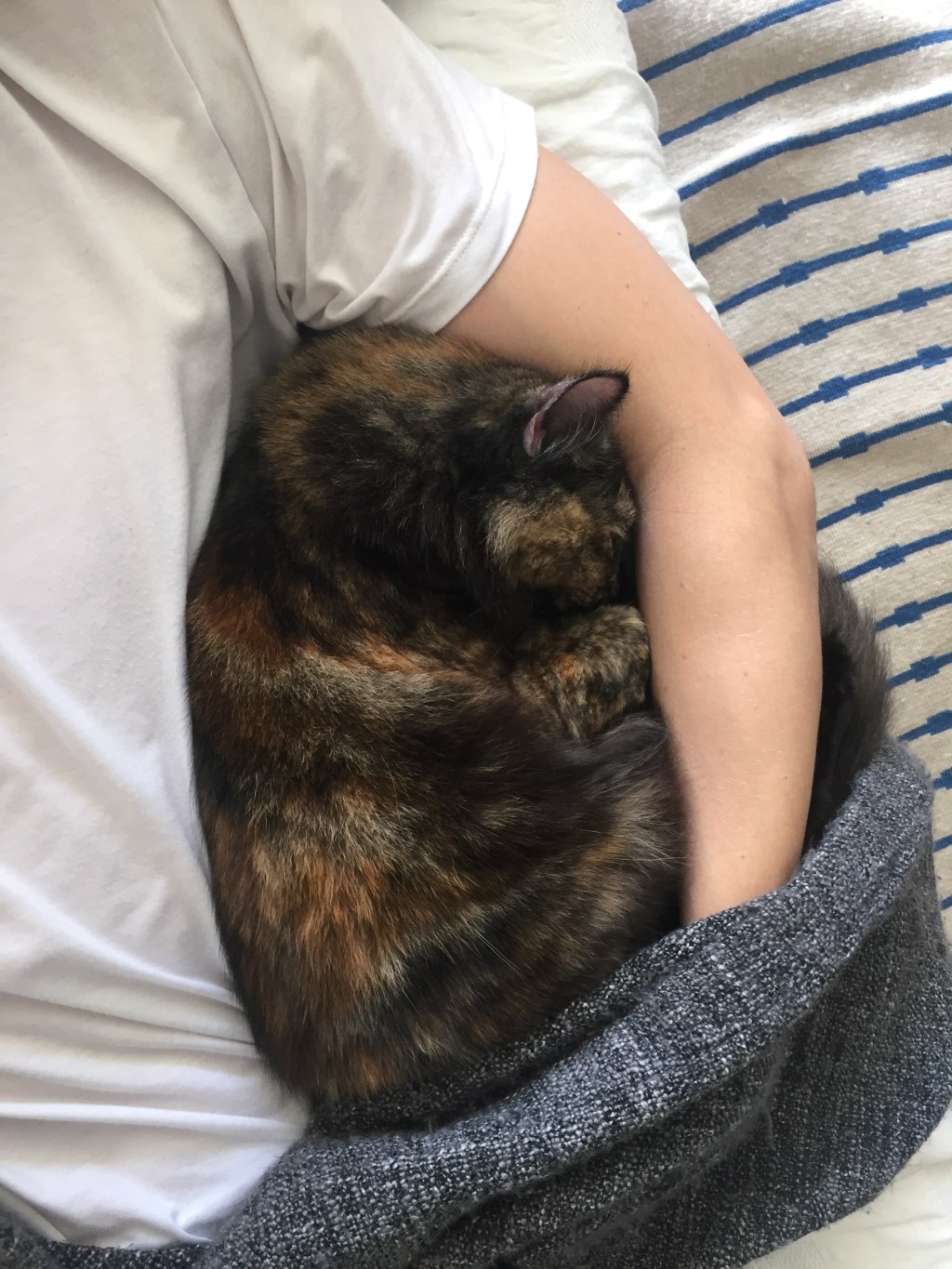 サクラの甘えん坊タイム