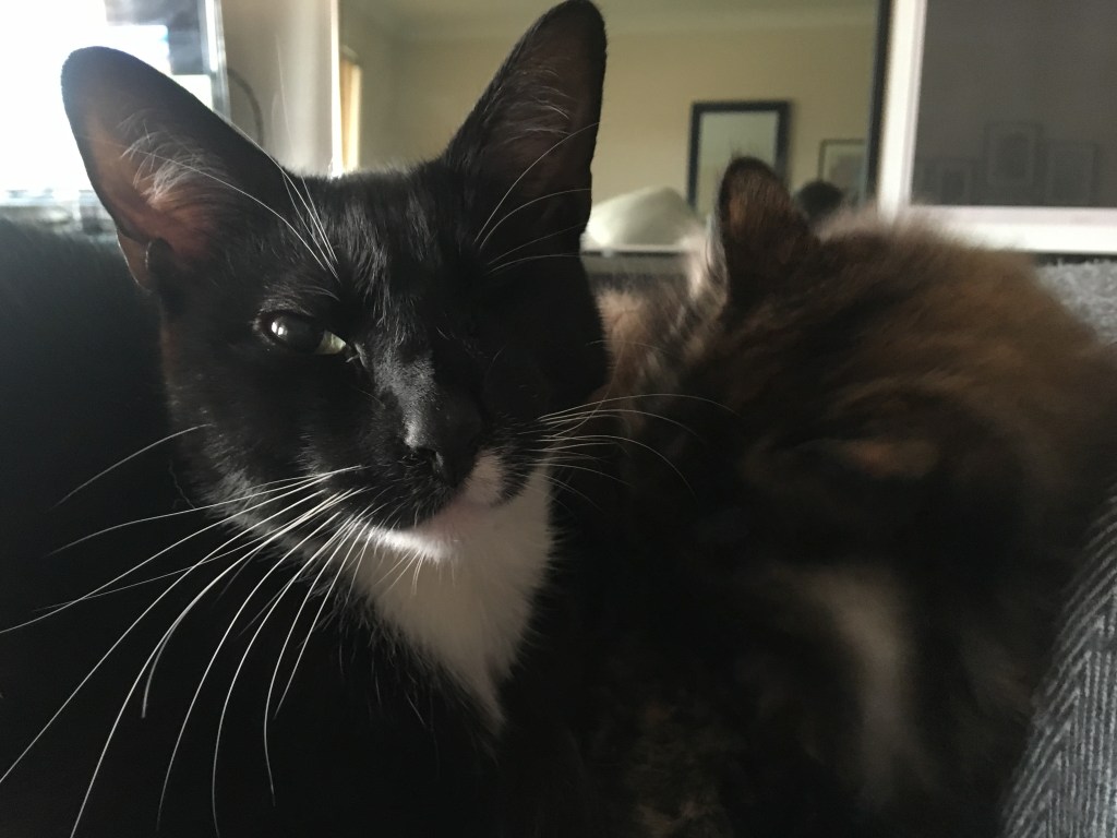 戦士の誇らしげな一瞬:片目に宿る強さ