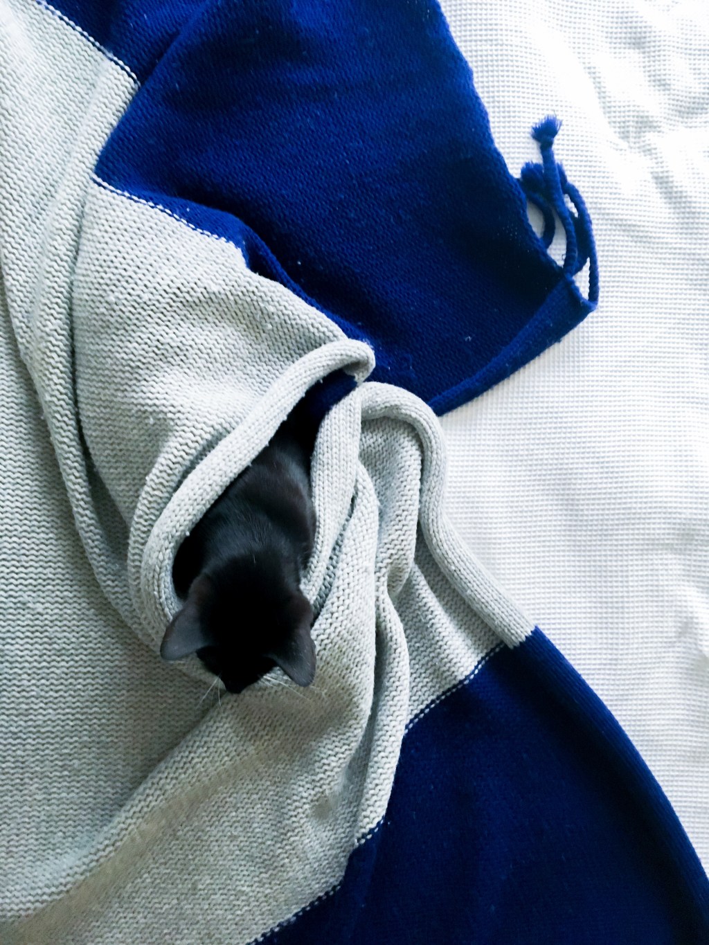 戦士のブランケットフォート