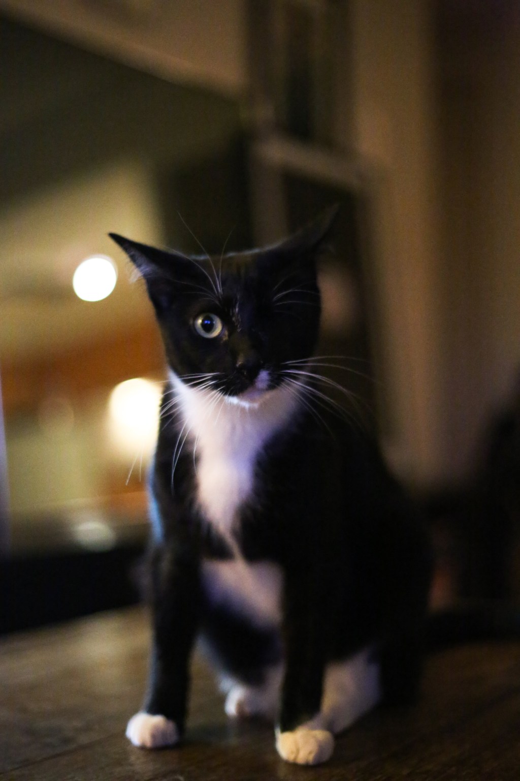 戦士のミステリアスなひととき